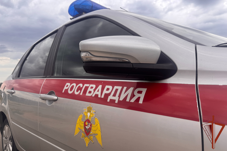 Вневедомственная охрана Росгвардии пресекла попытки хищений в торговых объектах Волгоградской области